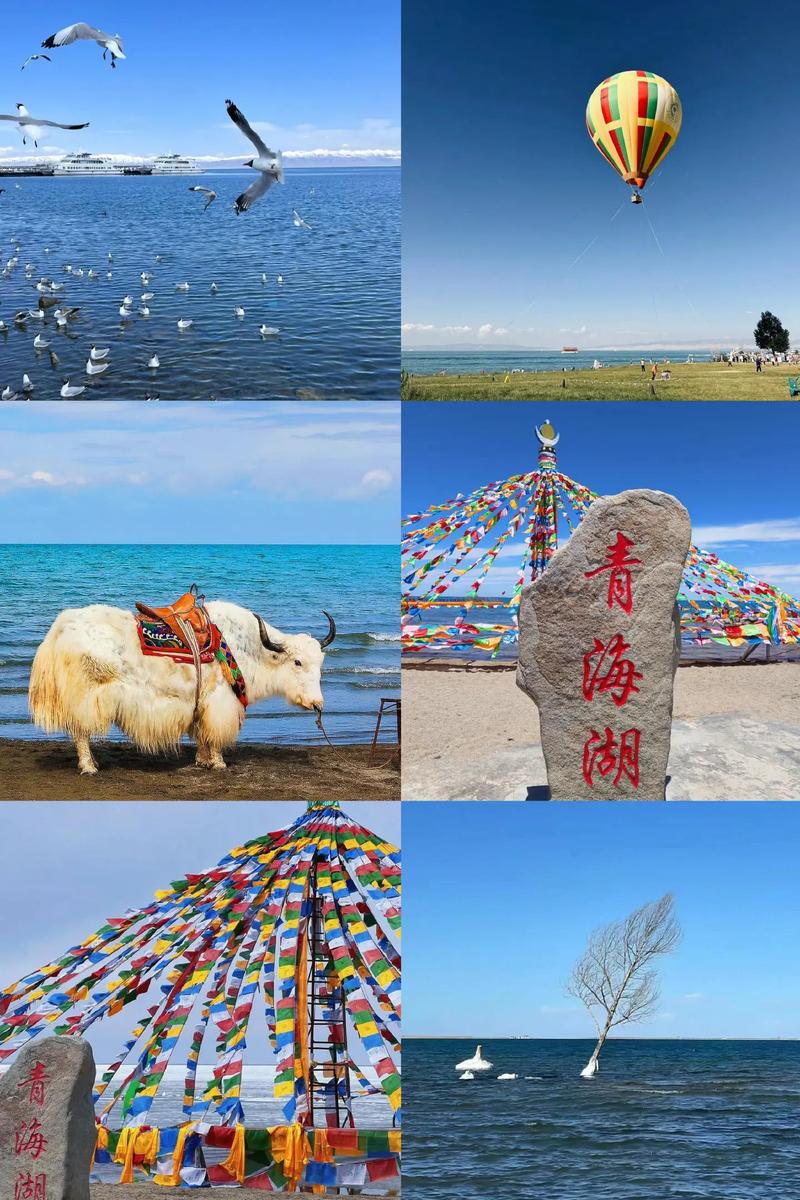 西宁附近旅游景点推荐,西宁附近旅游景点推荐图片? 西宁附近旅游景点推荐,西宁附近旅游景点推荐图片?