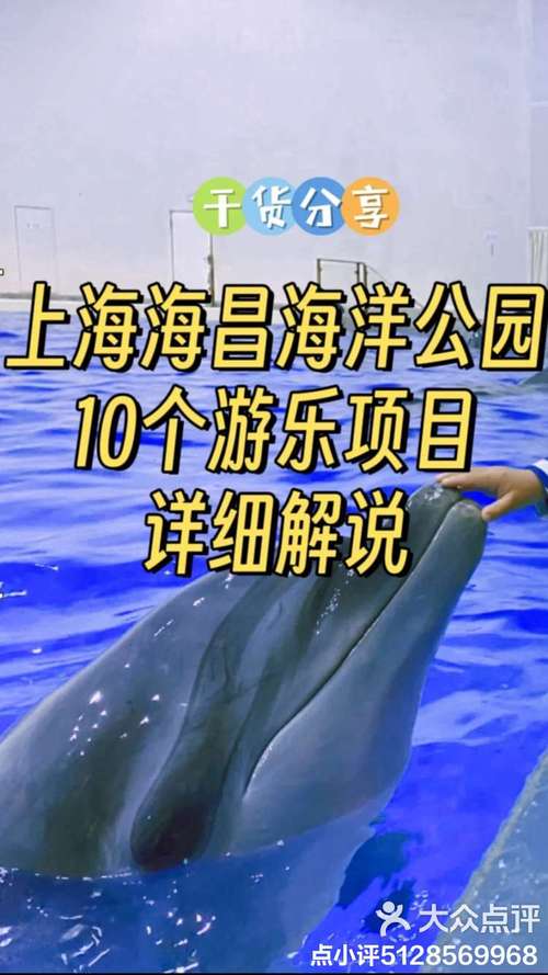 上海海昌极地海洋公园,上海海昌极地海洋公园几米以上需要买票 上海海昌极地海洋公园,上海海昌极地海洋公园几米以上需要买票